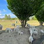 Aura Loving Con 4 Posti Letto, Cucina Completa, Terrazzo Ed Un Grande Parco Verde Serravalle d'Asti
