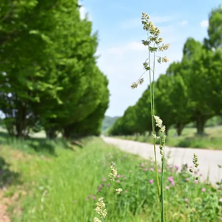 Aura Loving Con 4 Posti Letto, Cucina Completa, Terrazzo Ed Un Grande Parco Verde Daire Serravalle d'Asti