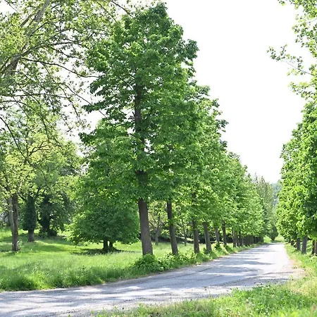 Aura Loving Con 4 Posti Letto, Cucina Completa, Terrazzo Ed Un Grande Parco Verde Daire