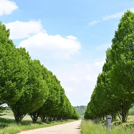 Aura Loving Con 4 Posti Letto, Cucina Completa, Terrazzo Ed Un Grande Parco Verde *