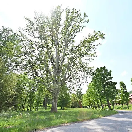 Aura Loving Con 4 Posti Letto, Cucina Completa, Terrazzo Ed Un Grande Parco Verde