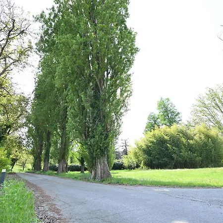 Daire Aura Loving Con 4 Posti Letto, Cucina Completa, Terrazzo Ed Un Grande Parco Verde *