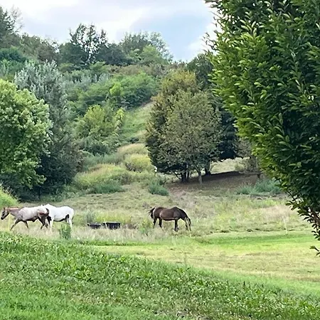 Daire Aura Loving Con 4 Posti Letto, Cucina Completa, Terrazzo Ed Un Grande Parco Verde *