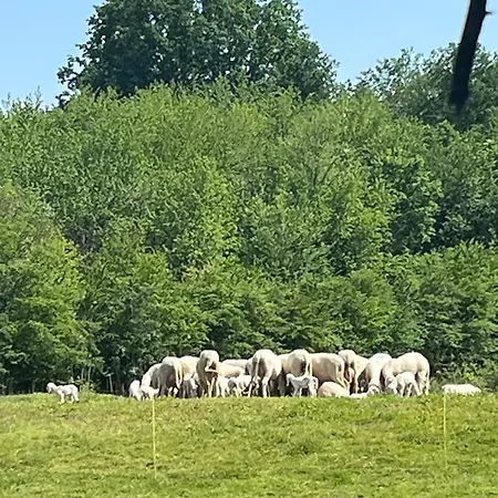 Aura Loving Con 4 Posti Letto, Cucina Completa, Terrazzo Ed Un Grande Parco Verde Serravalle d'Asti