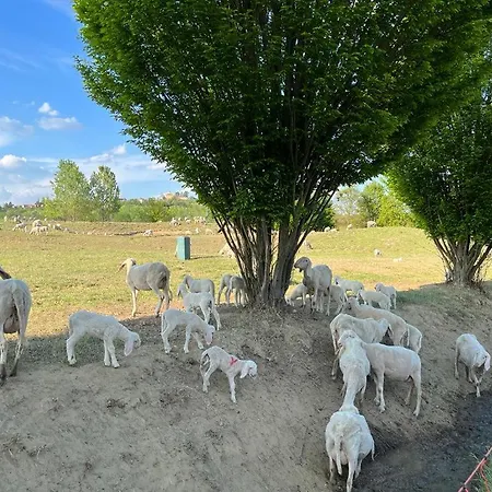 Aura Loving Con 4 Posti Letto, Cucina Completa, Terrazzo Ed Un Grande Parco Verde Serravalle d'Asti