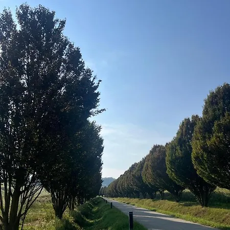 Daire Aura Loving Con 4 Posti Letto, Cucina Completa, Terrazzo Ed Un Grande Parco Verde