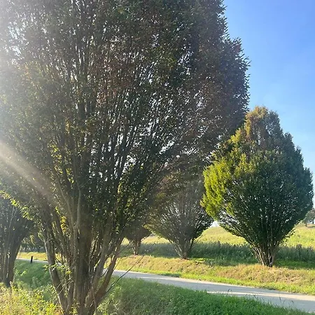 Aura Loving Con 4 Posti Letto, Cucina Completa, Terrazzo Ed Un Grande Parco Verde Daire *