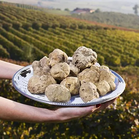 Aura Loving Con 4 Posti Letto, Cucina Completa, Terrazzo Ed Un Grande Parco Verde Serravalle d'Asti